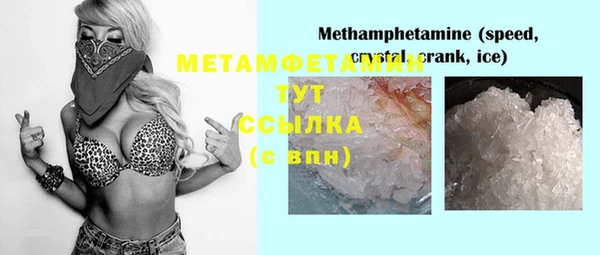 гидра Михайловск