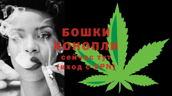 гидра Михайловск