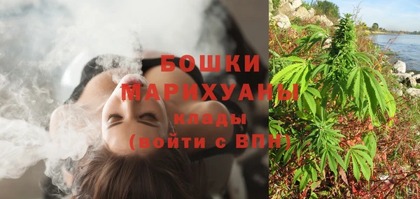 гидра Михайловск