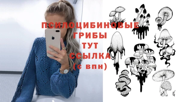 гидра Михайловск