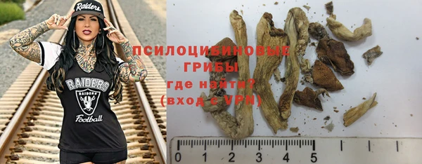 гидра Михайловск