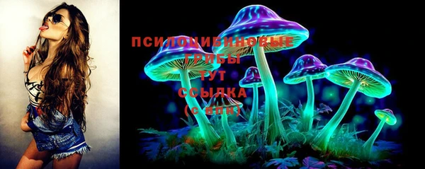 гидра Михайловск